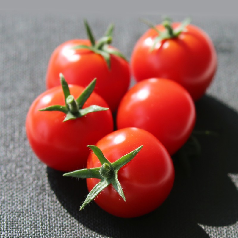 LEwin乐玩·(中国集团)官方网站