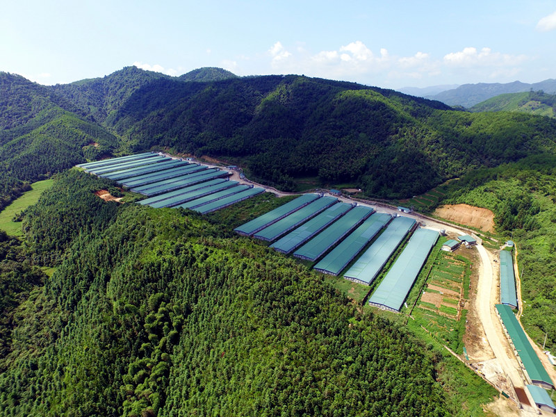 LEwin乐玩·(中国集团)官方网站