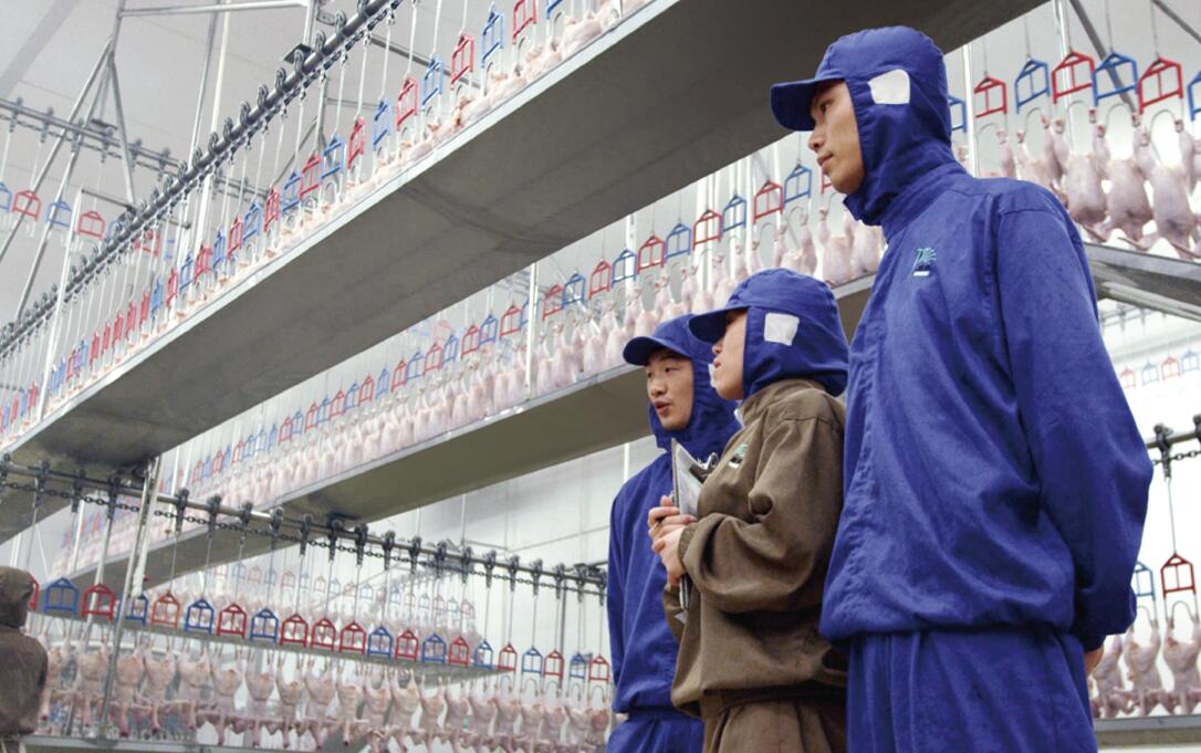 LEwin乐玩·(中国集团)官方网站