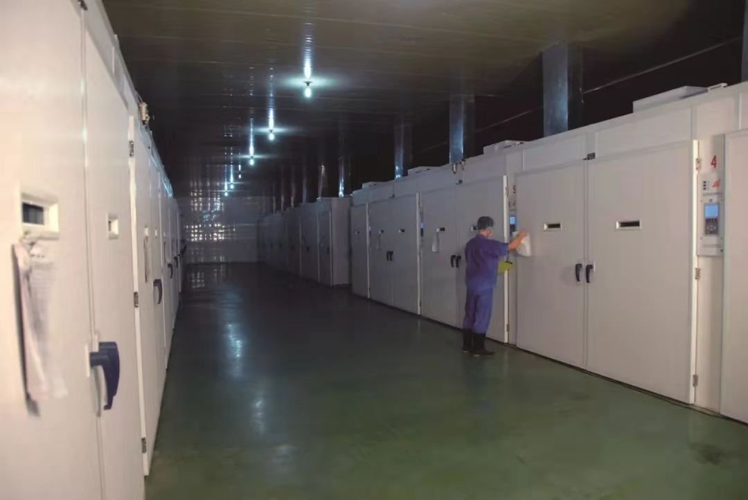 LEwin乐玩·(中国集团)官方网站