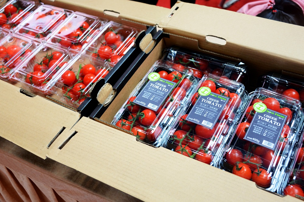 LEwin乐玩·(中国集团)官方网站