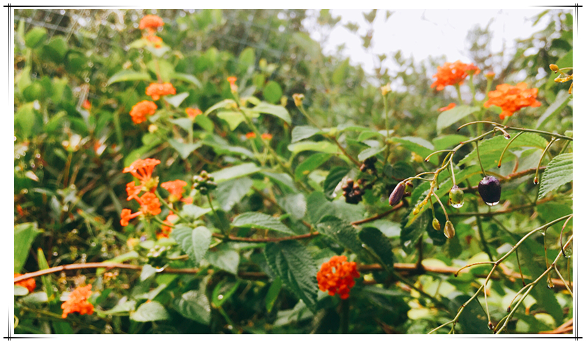 LEwin乐玩·(中国集团)官方网站