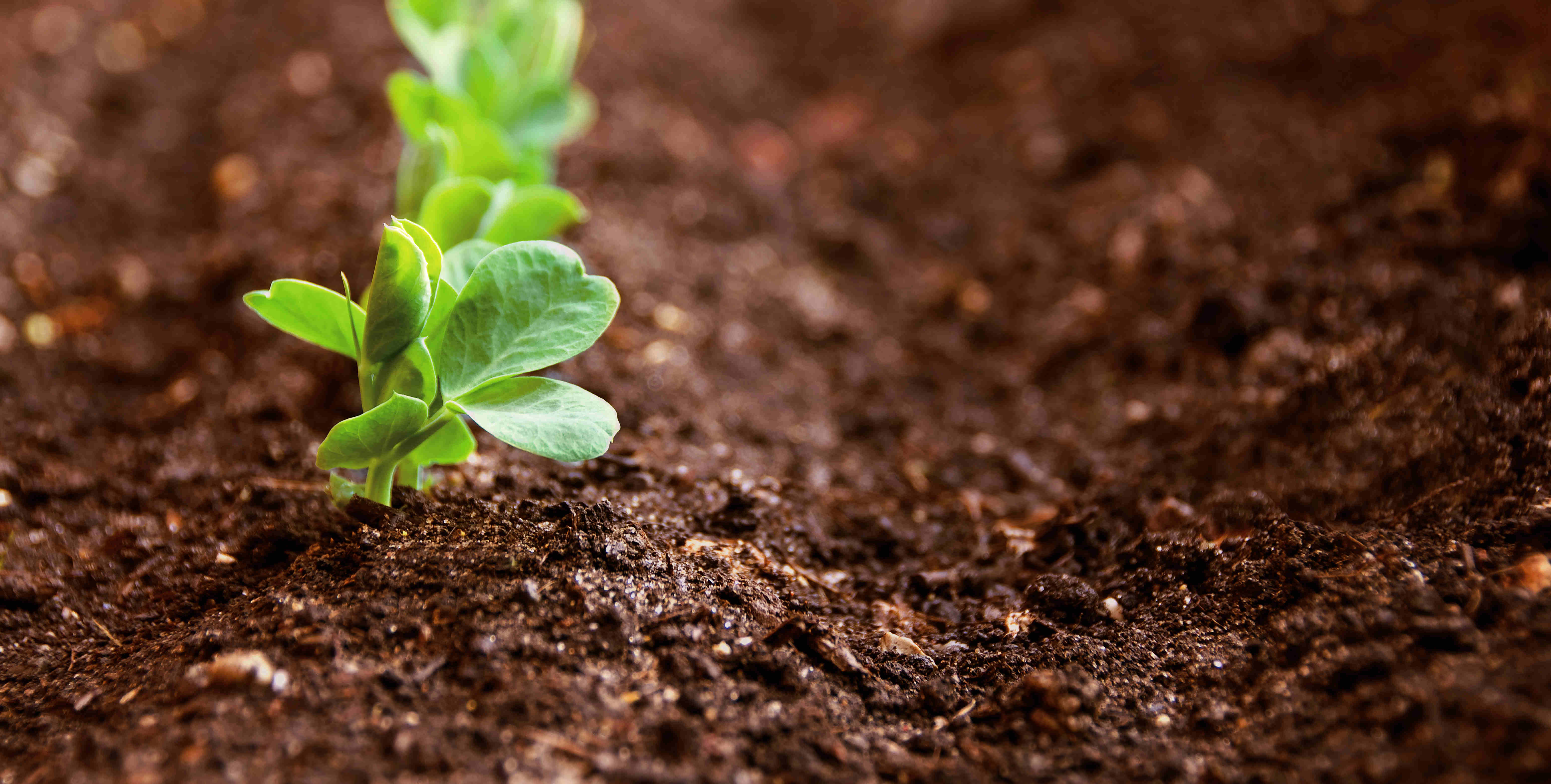 LEwin乐玩·(中国集团)官方网站