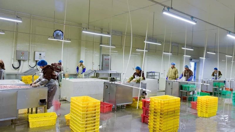 LEwin乐玩·(中国集团)官方网站