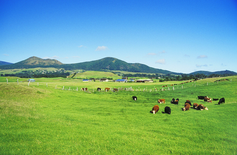 LEwin乐玩·(中国集团)官方网站